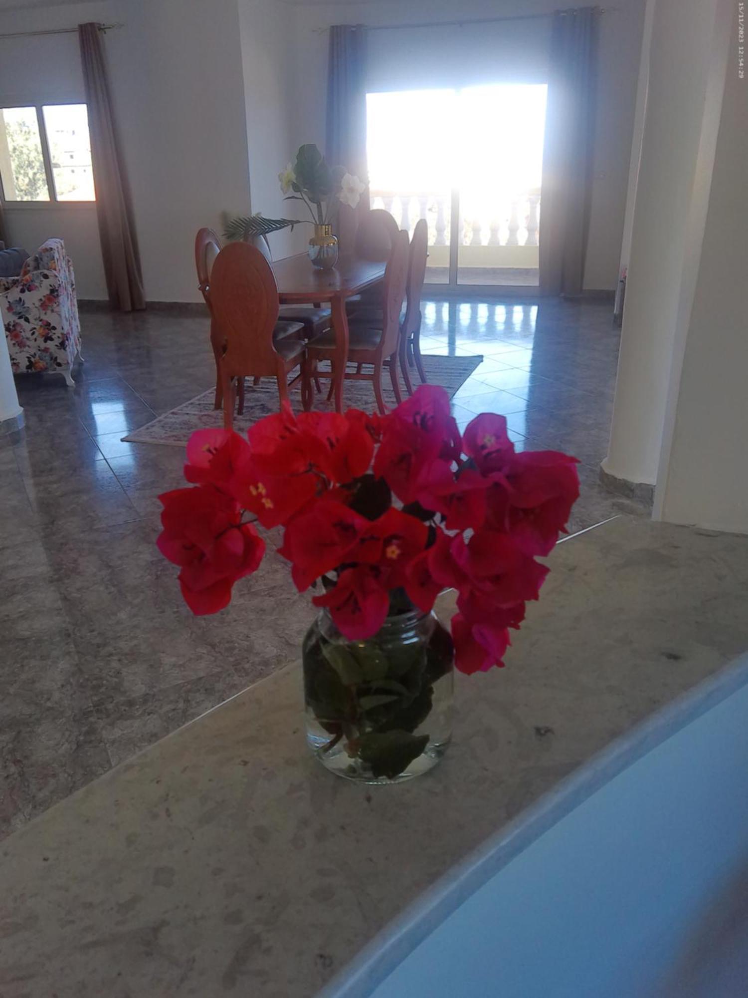 Appartement Belle-vue